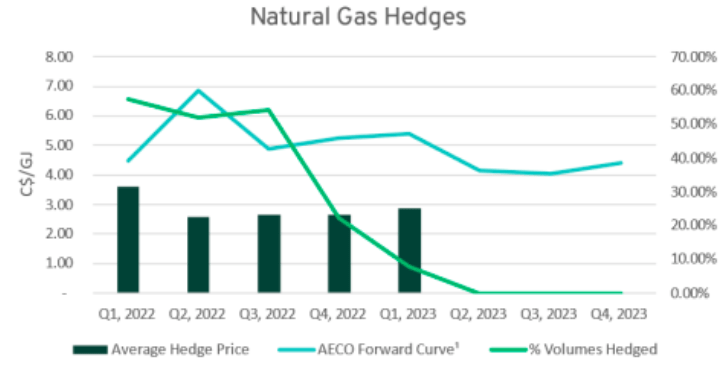 Pieridae Energy Hedging