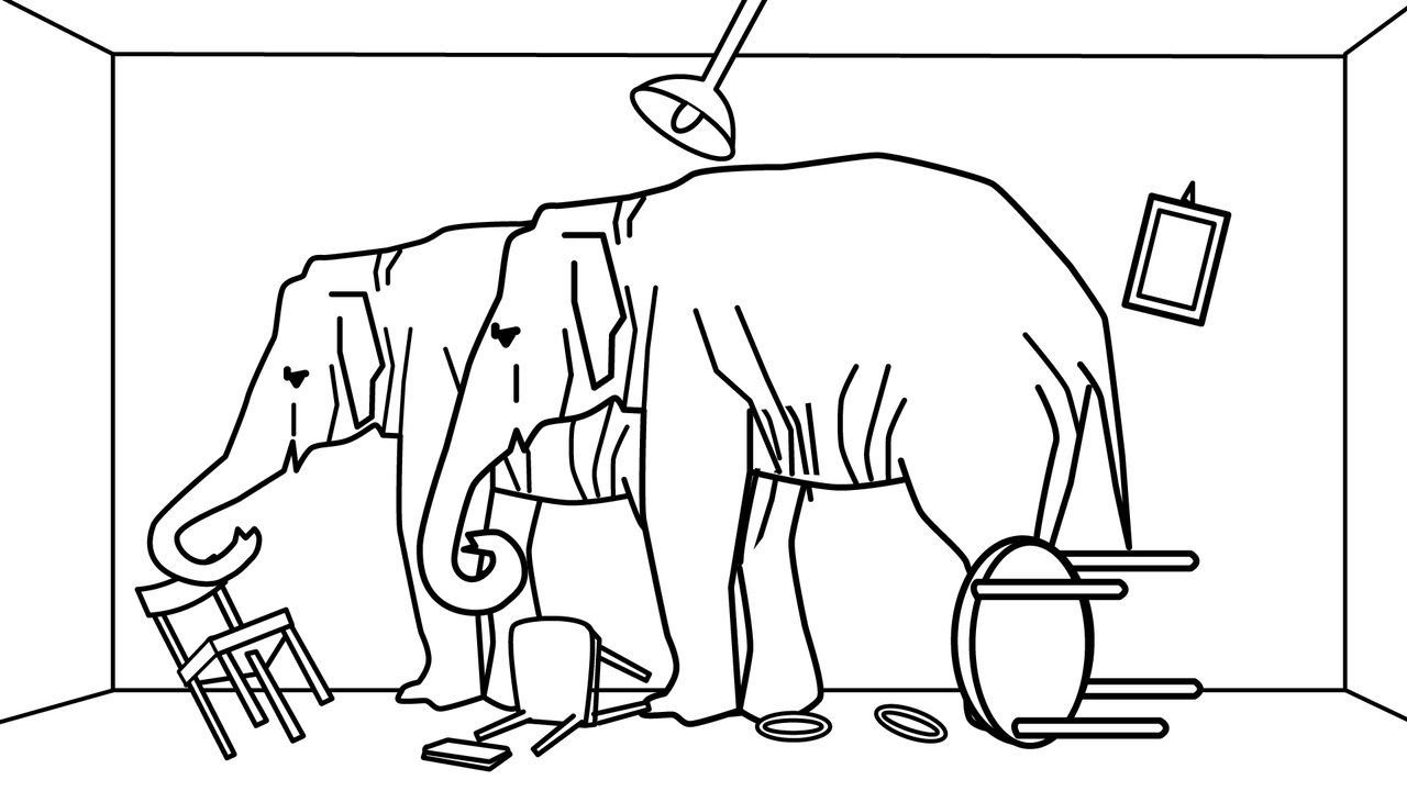 Elephants in the room