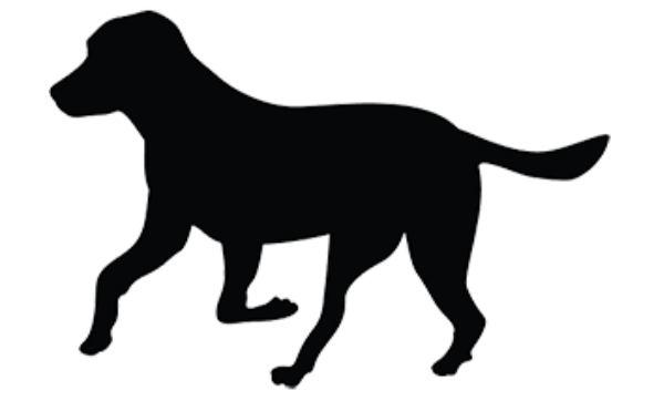 ReFaRo (2) Dog 11/4/22 Open source dog art DDC8 from dividenddogcatcher.com