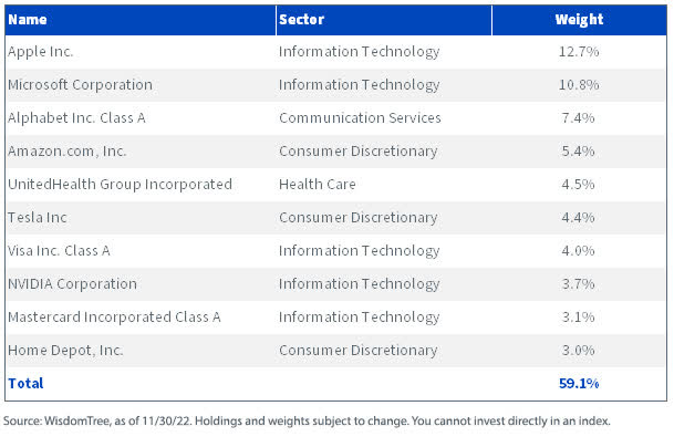wisdomtree index top holdings