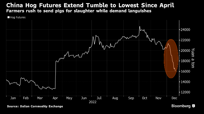 China's hog futures have tumbled almost 25% over the past two weeks with supply overwhelming demand, seeing farmers rushing to send their pigs for slaughter.