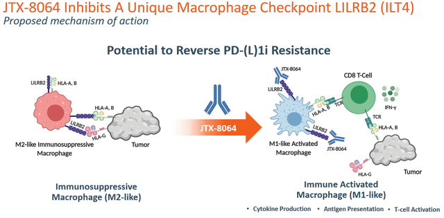 JTX-8064 MoA slide 2