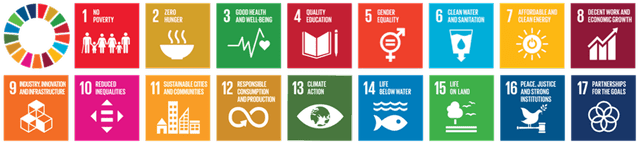 17 top-level goals identified in the United Nation 2030 Agenda for Sustainable Development