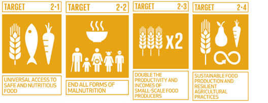 Examples of United Nations SDG 169 sub-goals or targets