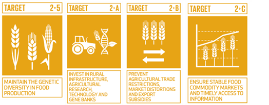 Examples of United Nations SDG 169 sub-goals or targets