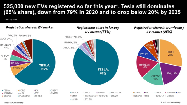 Tesla Market Share Forecast