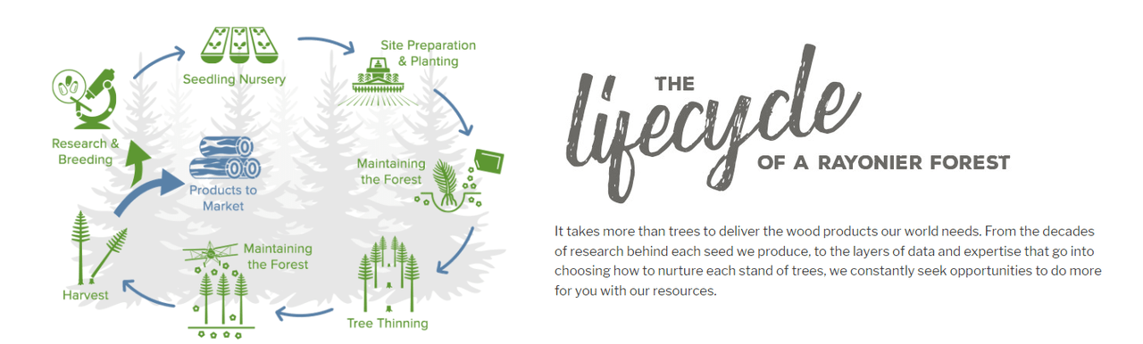 How Sustainable Forest Management Works