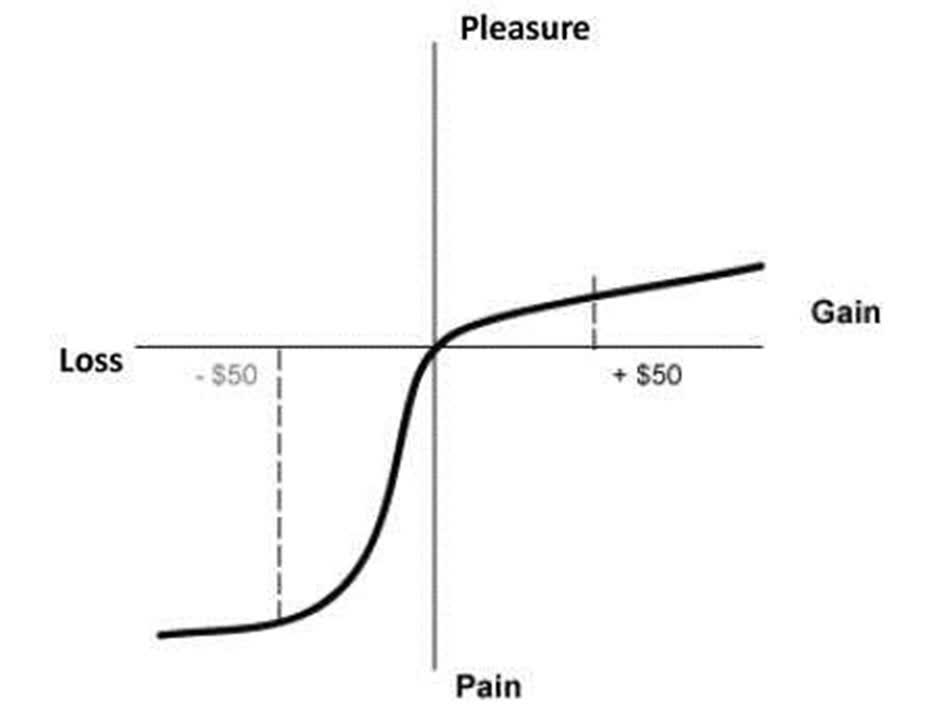 pain from losses and pleasure from gains