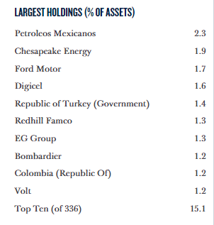 GHY Largest Holdings