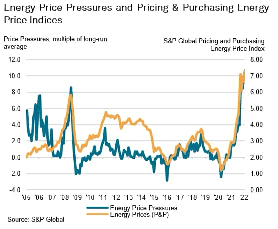 Energy Price Pressures and Pricing & Purchasing Energy Price Indices