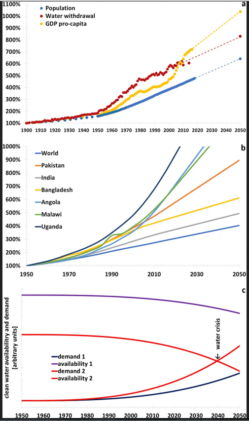 The Global Water Scarcity Problem