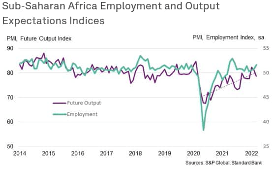 Sub-Saharan Africa Employment & Output ExpectationsIndices