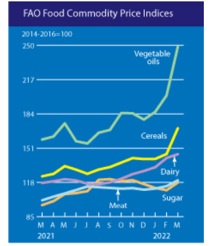 FAO World Food Prices