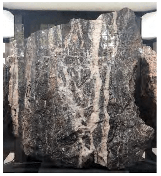 Silver City Project Mineralization