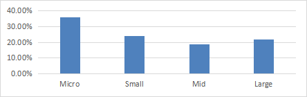 Size segment weights