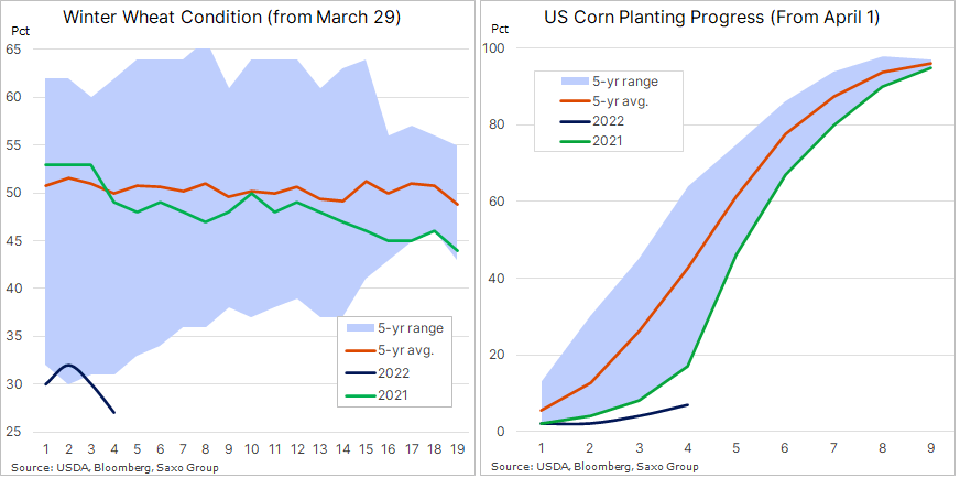 Wheat condition and corn planted