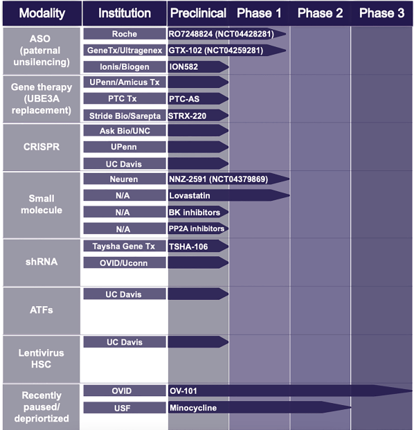 Angelman pipeline