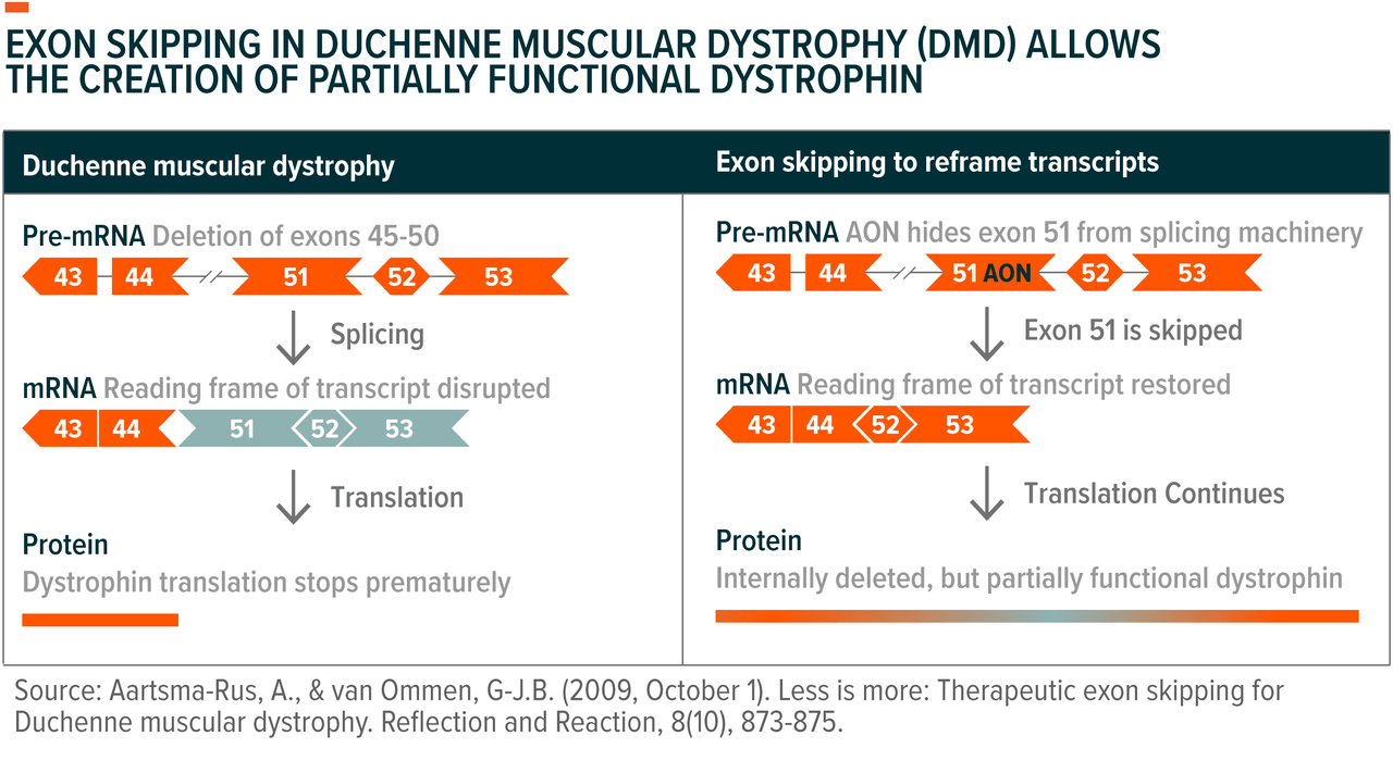 Duchenne muscular dystrophy