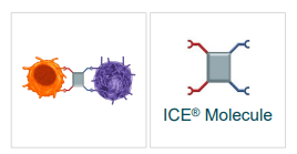 ICE Molecule