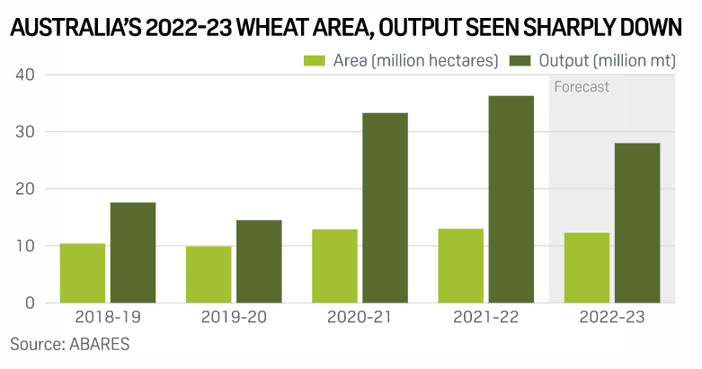 Australia wheat production estimates