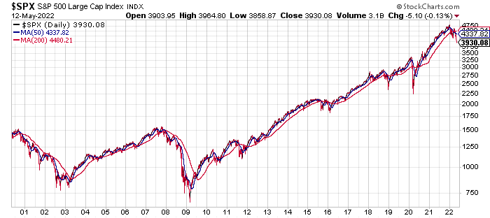 S&P 500 large cap index