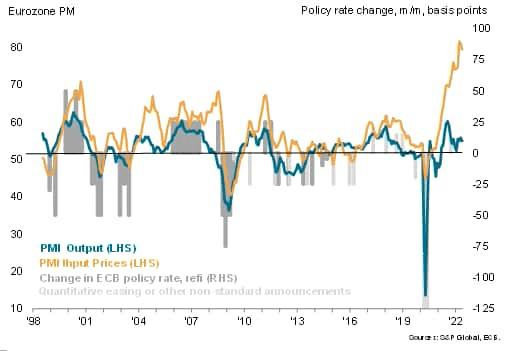 Eurozone PMI output and input cost inflation compared to ECB policy decisions