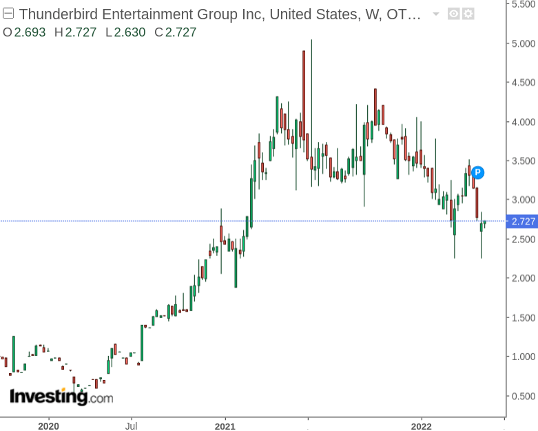 Thunderbird Entertainment: Strong Revenue Performance, But Risk Remains ...