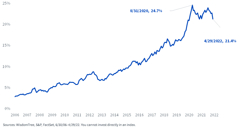 S&P 500 Index Weights: Apple, Amazon, Meta, Alphabet, Microsoft, Netflix