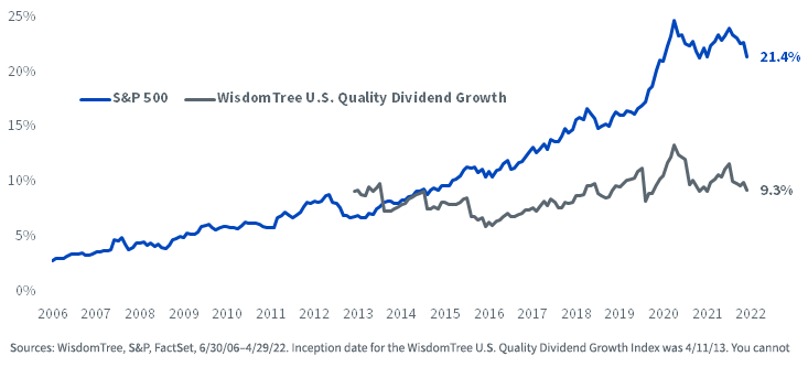 Index Weights: Apple, Amazon, Meta, Alphabet, Microsoft, Netflix