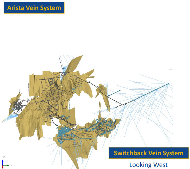 Switchback vein system