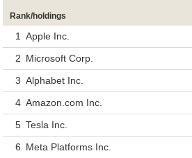 Top Holdings of VUG