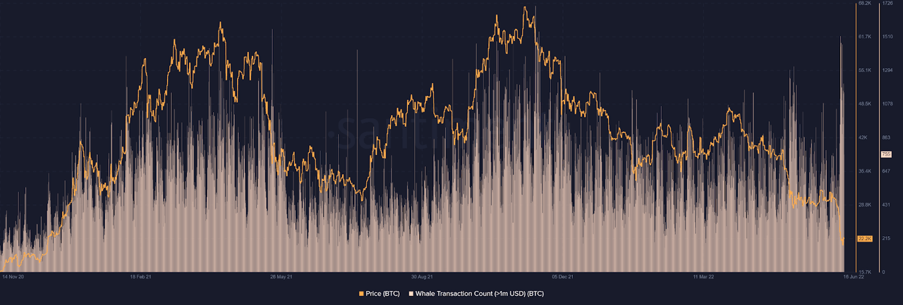 Whales transactions count over $1 million spikes against the negative sentiment.