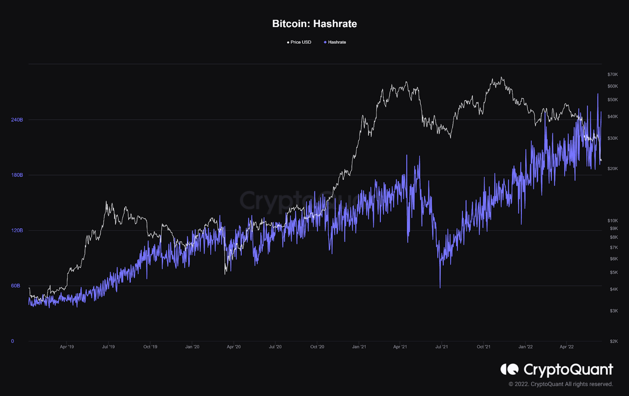 The Bitcoin hashrate has increased during the bear market. (source)