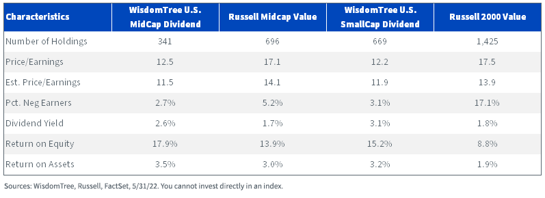 Mid- and Small-Cap Dividends