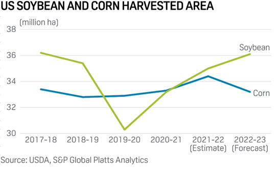 Soybean vs Corn
