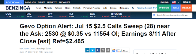 Screenshot of Options Alert For Gevo on Benzinga Website