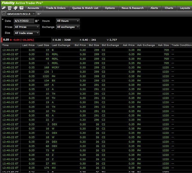 Screenshot of Gevo Options Time & Sales
