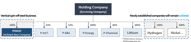 POSCO New Holding Company Structure