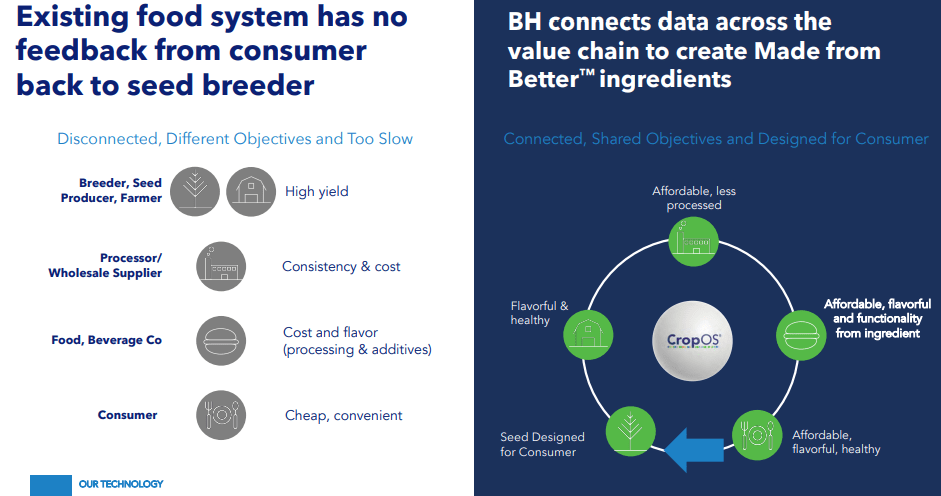 The contrast between legacy producers and BHIL's vertical integration