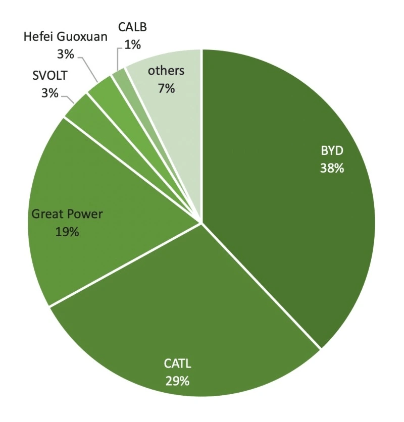 Global LFP Market Share