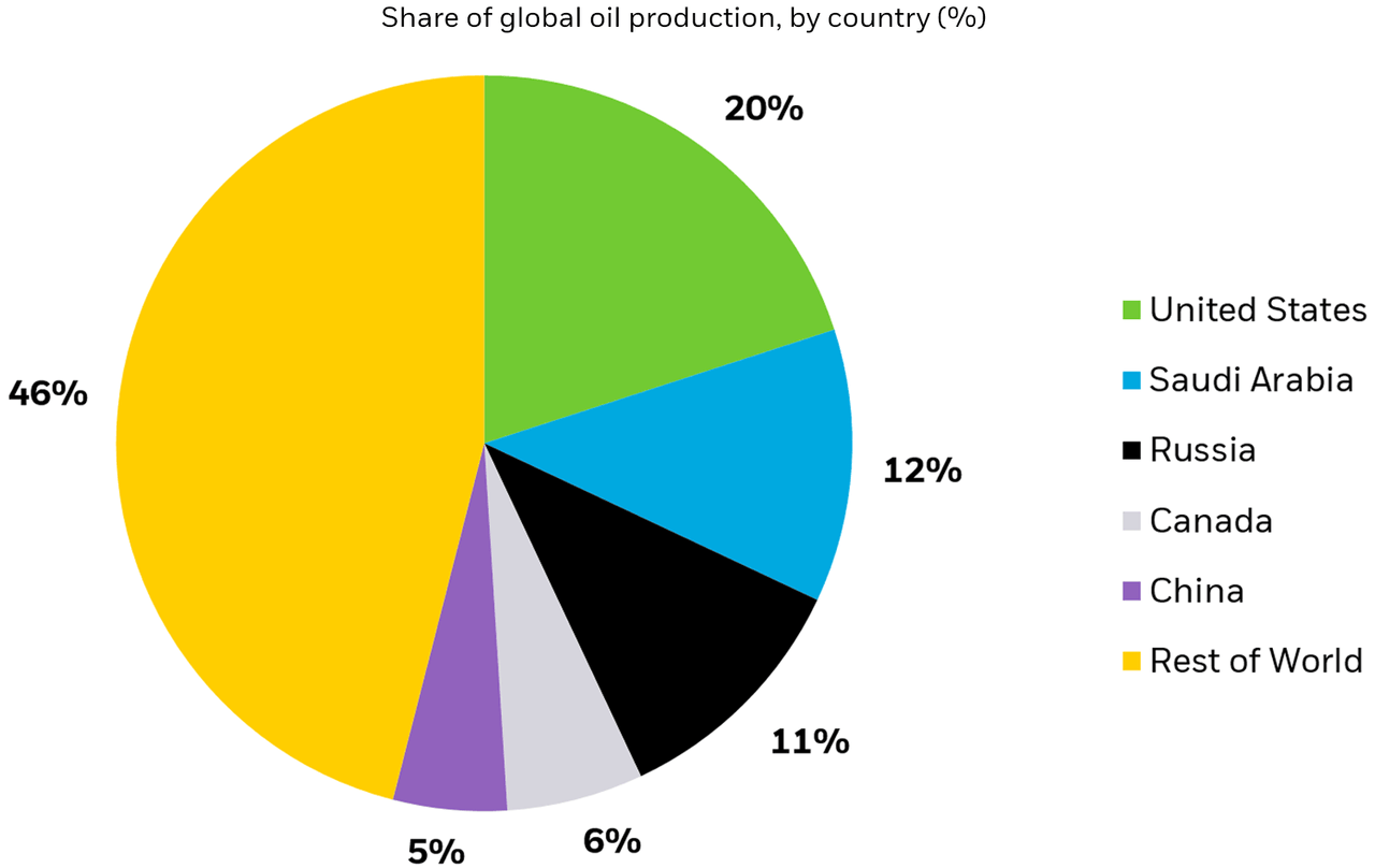 Pie chart showing the share of global oil production held by the top 5 oil producers in the world and the rest of the world.