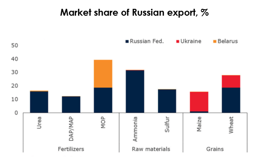 Russian export market share, %