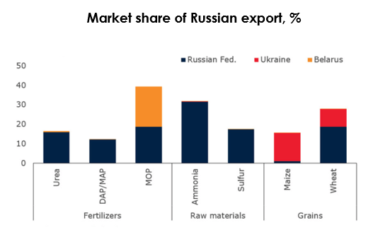 Market share of Russian export, %