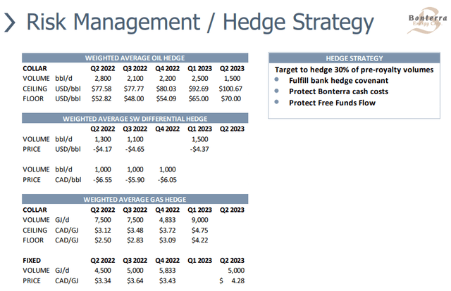 Hedging Policy