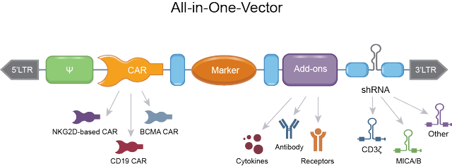 All-in-one vector