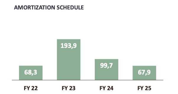 Cresud's debt amortization schedule