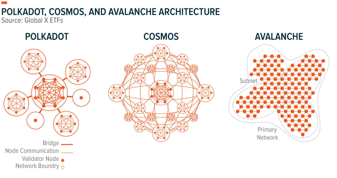 polkadot, cosmos, avalanche architecture