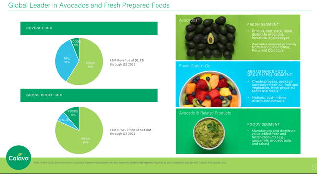 revenue and gross margin breakdown