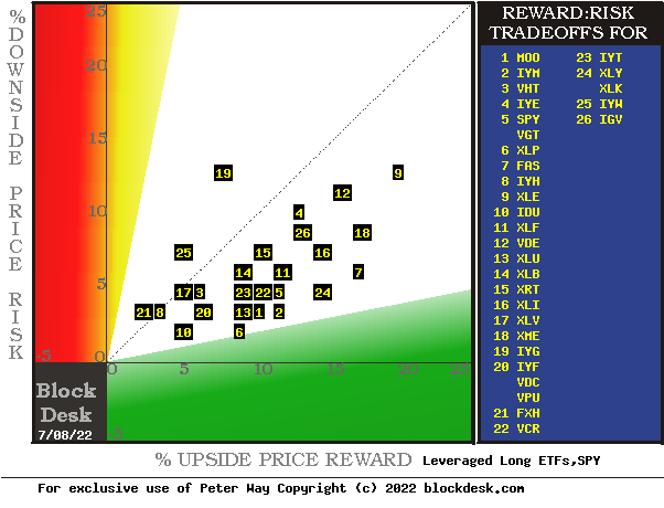 Risk~Reward Tradeoff Balances in Leveraged ETFs