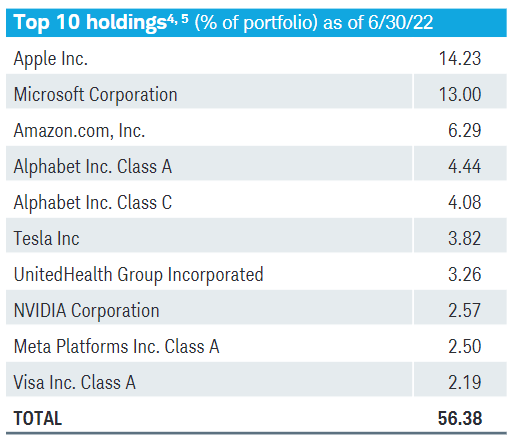 We think the area of large cap growth consists of some of the most undervalued stocks on the market today.